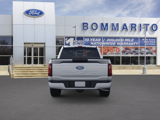 Ford F-150 Vehicle Image 05