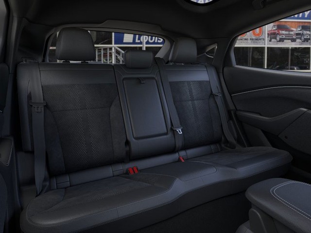 Ford Mustang Mach-E Vehicle Image 11