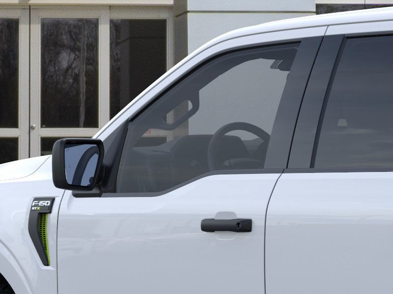 Ford F-150 Vehicle Image 20