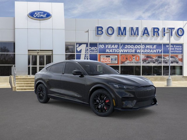 Ford Mustang Mach-E Vehicle Image 07