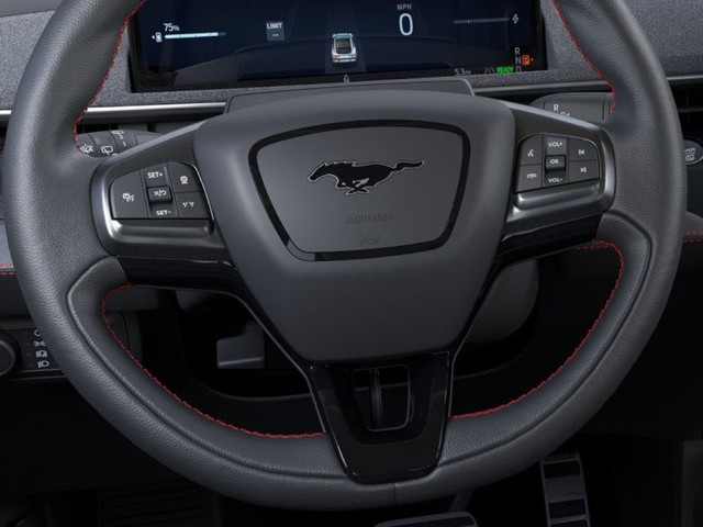 Ford Mustang Mach-E Vehicle Image 12