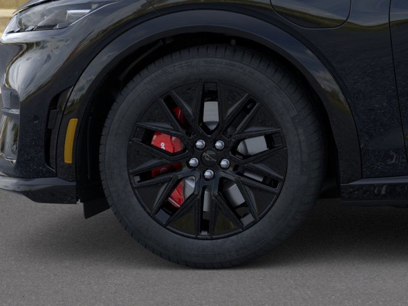 Ford Mustang Mach-E Vehicle Image 19