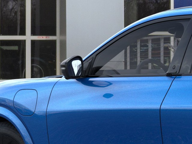 Ford Mustang Mach-E Vehicle Image 20