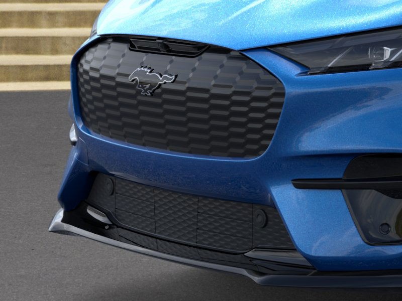 Ford Mustang Mach-E Vehicle Image 17