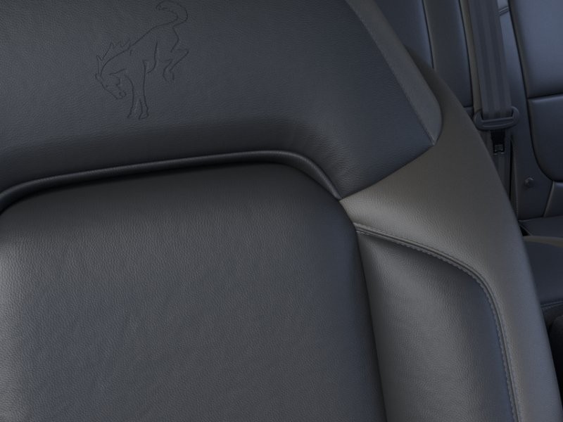 Ford Bronco Vehicle Image 18