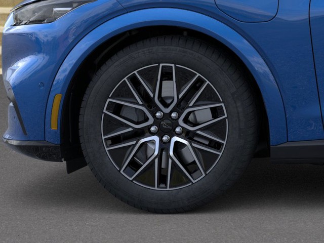 Ford Mustang Mach-E Vehicle Image 19