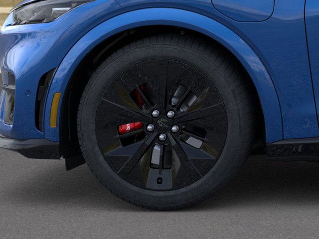 Ford Mustang Mach-E Vehicle Image 19