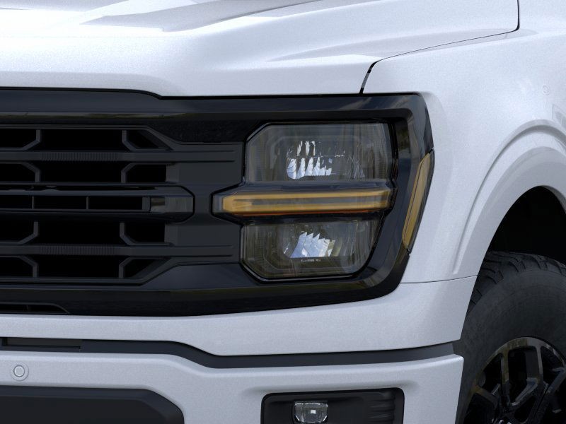 Ford F-150 Vehicle Image 18