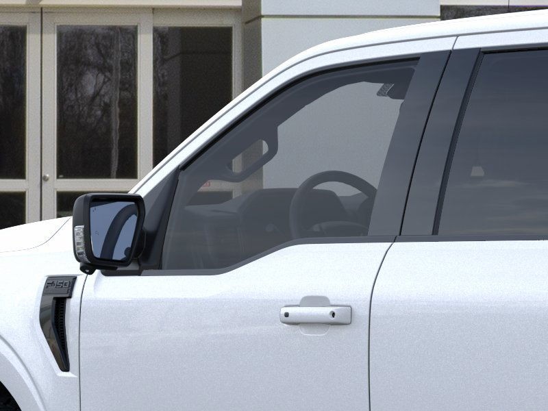 Ford F-150 Vehicle Image 20