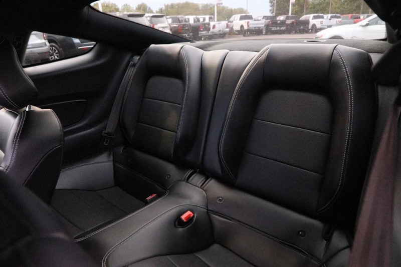 Ford Mustang Vehicle Image 09