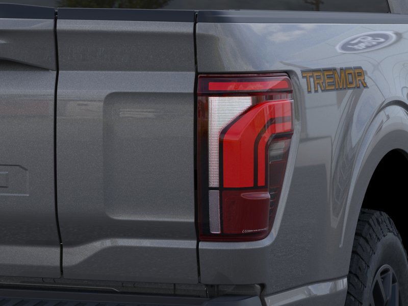 Ford F-150 Vehicle Image 21