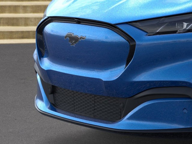 Ford Mustang Mach-E Vehicle Image 17