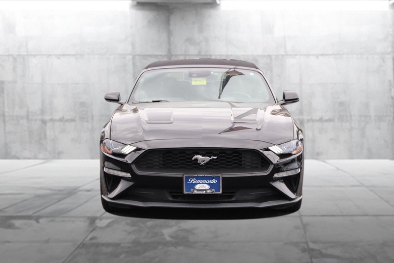 Ford Mustang Vehicle Full-screen Gallery Image 4