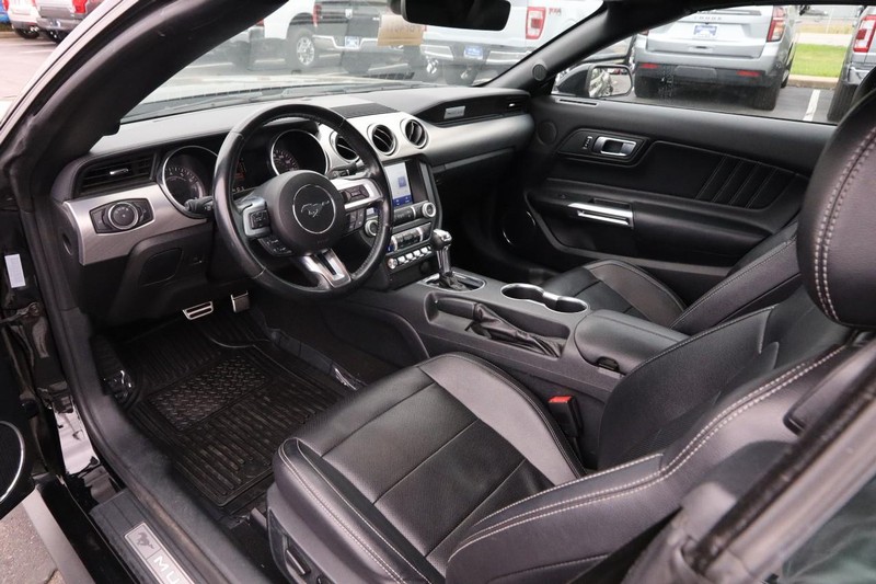 Ford Mustang Vehicle Full-screen Gallery Image 19