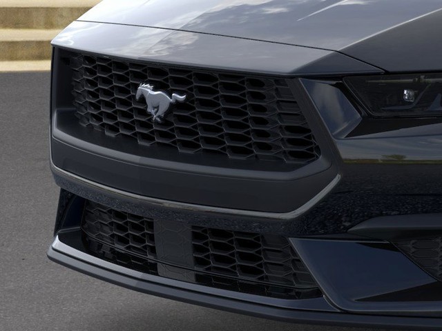 Ford Mustang Vehicle Image 17