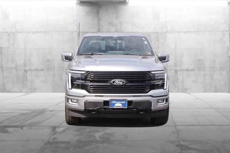 Ford F-150 Vehicle Image 04
