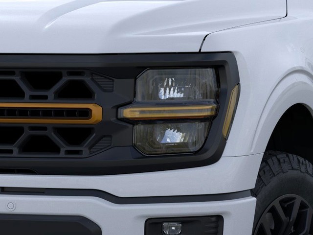 Ford F-150 Vehicle Image 18