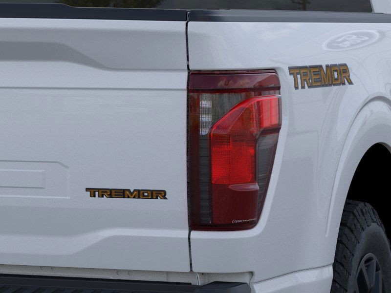 Ford F-150 Vehicle Image 21