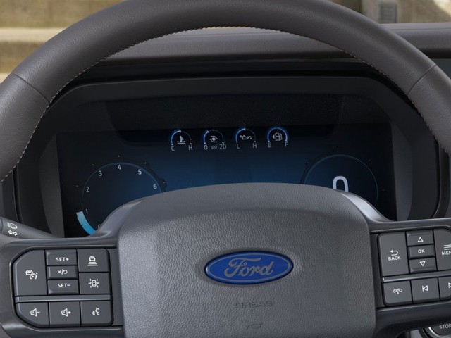 Ford F-150 Vehicle Image 13