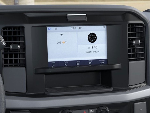 Ford Super Duty F-250 SRW Vehicle Image 14