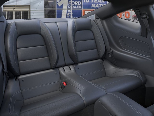 Ford Mustang Vehicle Image 11
