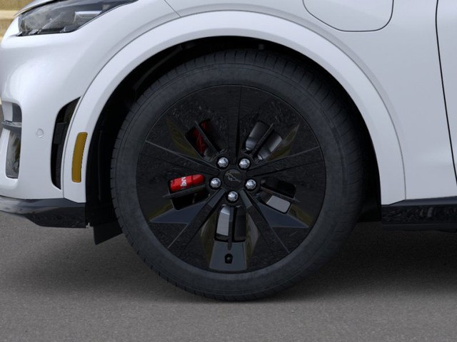 Ford Mustang Mach-E Vehicle Image 19