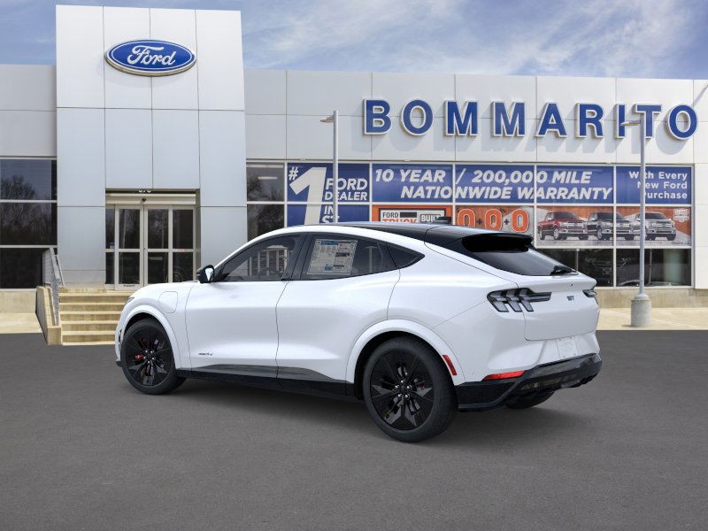 Ford Mustang Mach-E Vehicle Image 04