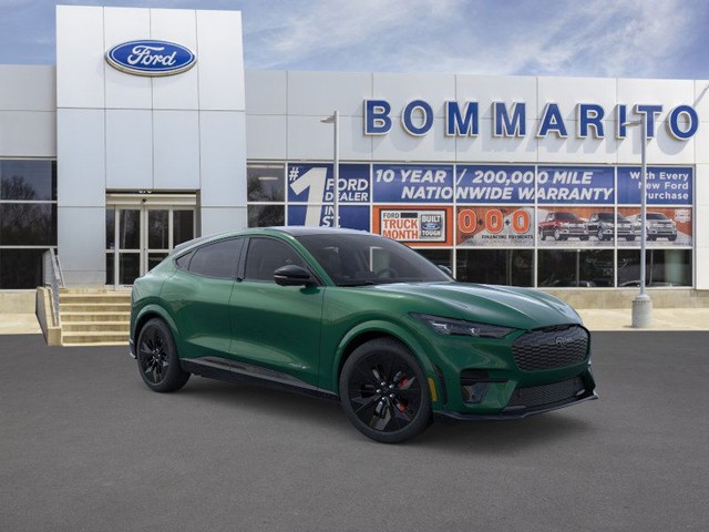 Ford Mustang Mach-E Vehicle Image 07
