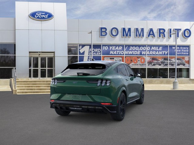 Ford Mustang Mach-E Vehicle Image 08