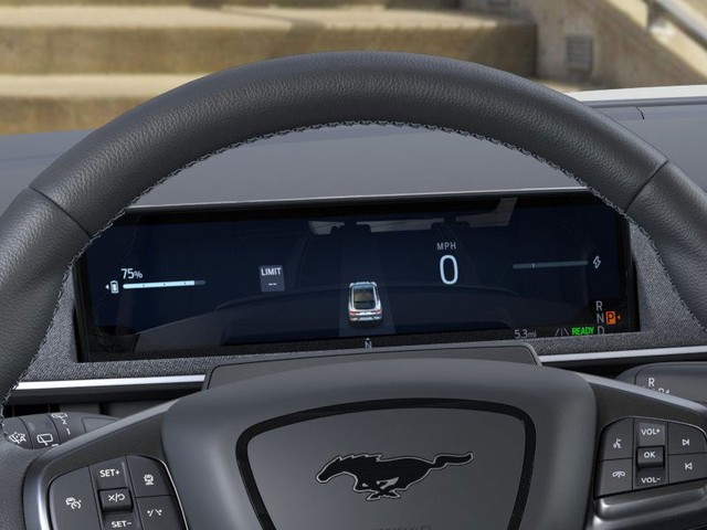 Ford Mustang Mach-E Vehicle Image 13