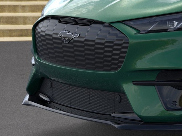Ford Mustang Mach-E Vehicle Image 17
