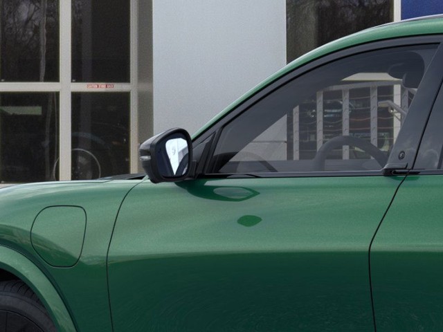 Ford Mustang Mach-E Vehicle Image 20