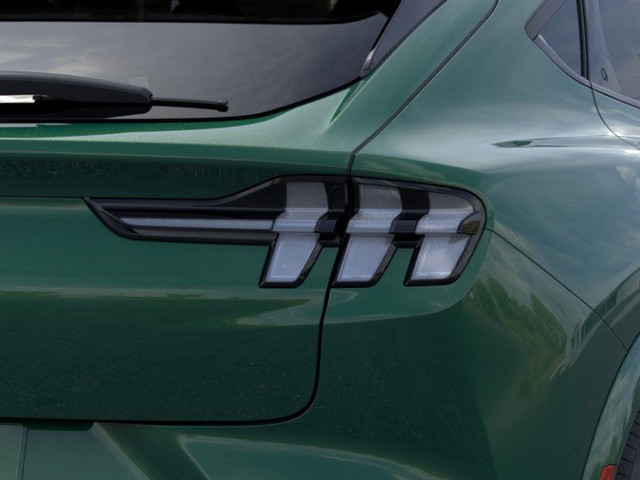 Ford Mustang Mach-E Vehicle Image 21