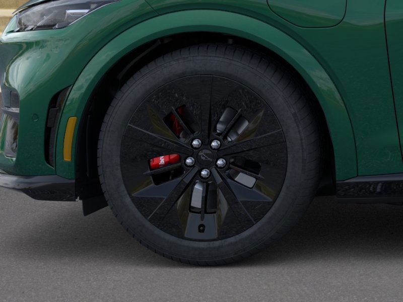 Ford Mustang Mach-E Vehicle Image 19