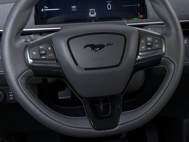 Ford Mustang Mach-E Vehicle Image 12