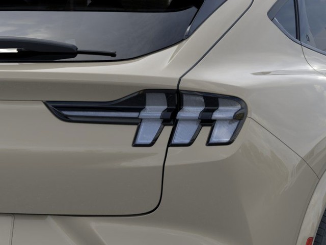 Ford Mustang Mach-E Vehicle Image 21