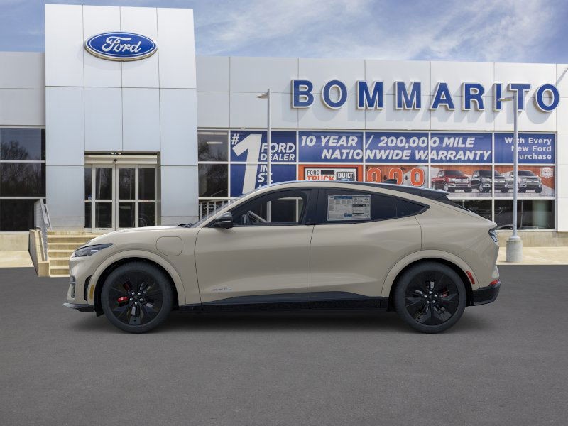 Ford Mustang Mach-E Vehicle Image 03