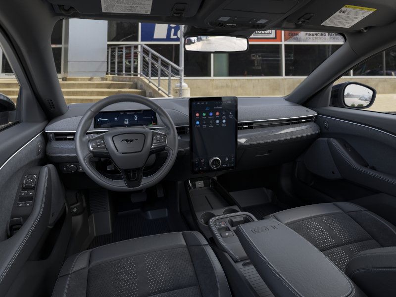 Ford Mustang Mach-E Vehicle Image 09