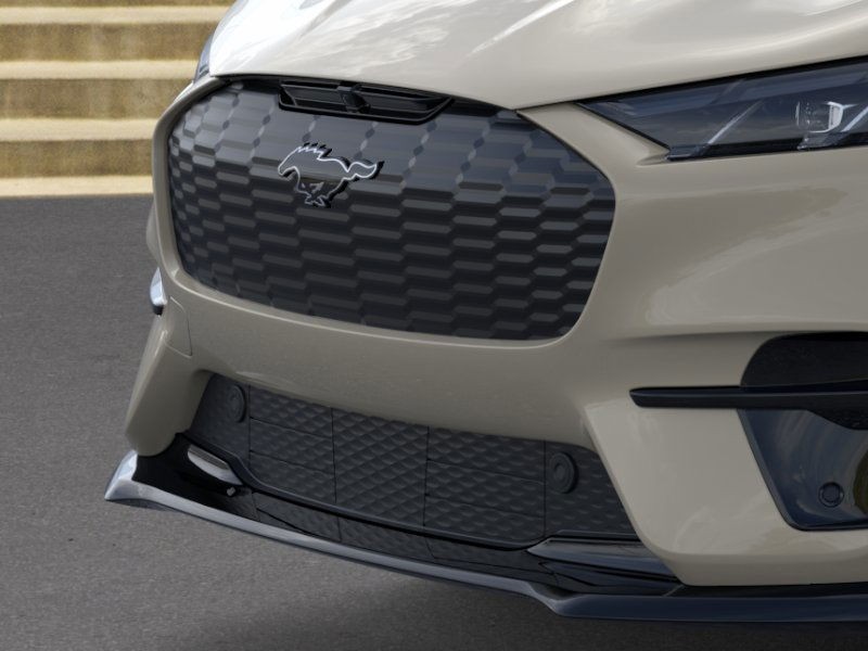 Ford Mustang Mach-E Vehicle Image 17