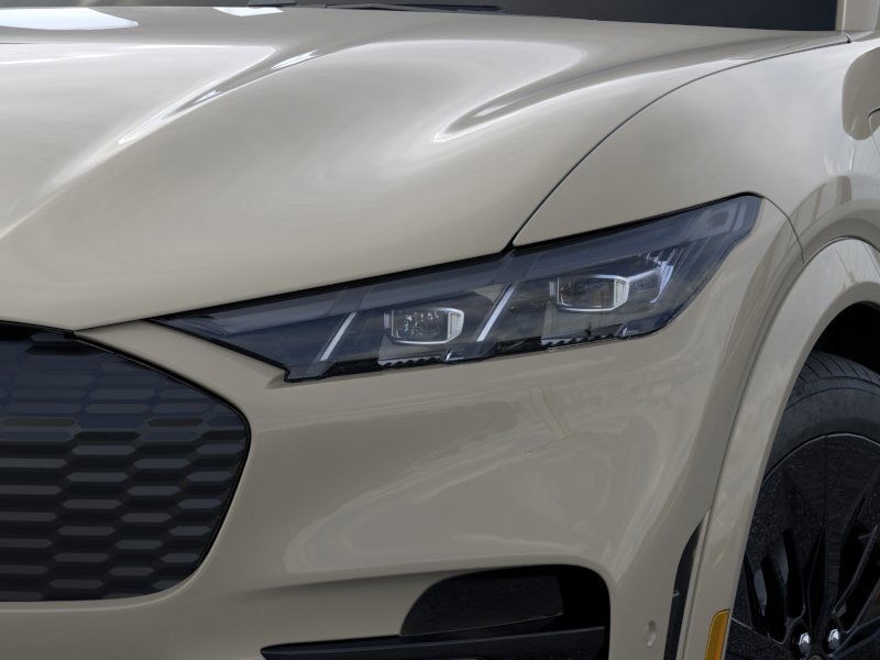 Ford Mustang Mach-E Vehicle Image 18