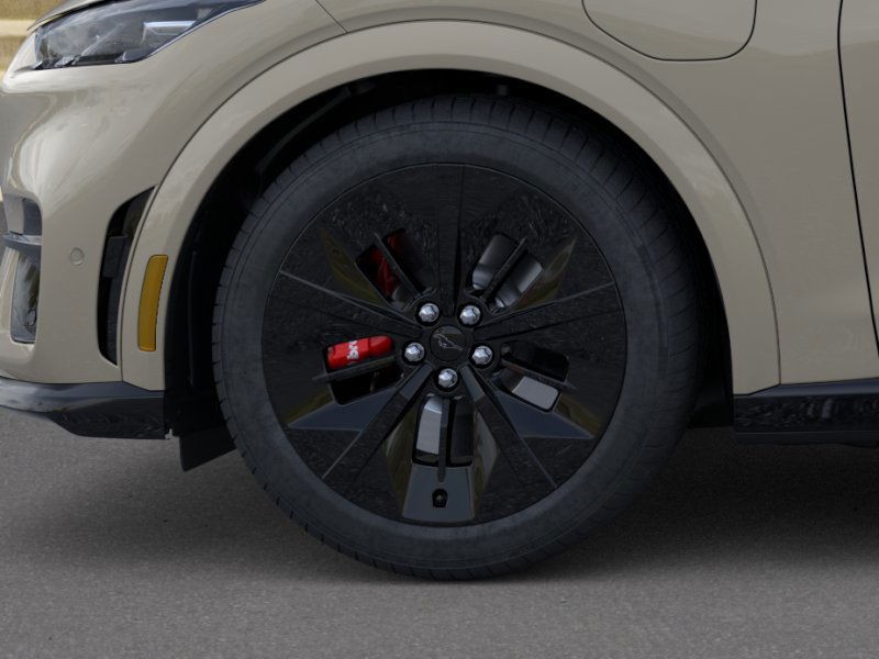 Ford Mustang Mach-E Vehicle Image 19