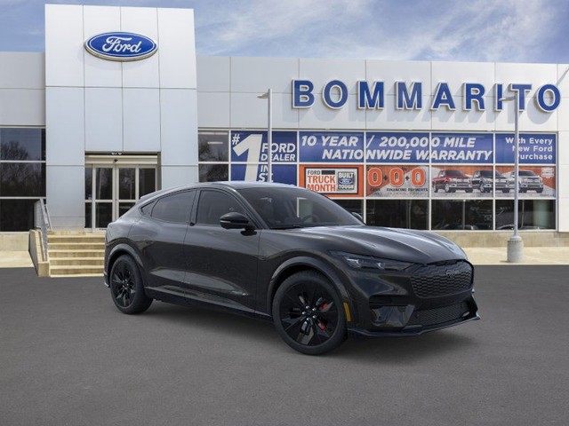 Ford Mustang Mach-E Vehicle Image 07