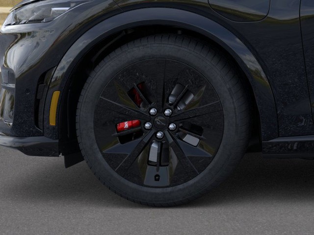 Ford Mustang Mach-E Vehicle Image 19