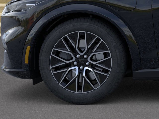 Ford Mustang Mach-E Vehicle Image 19