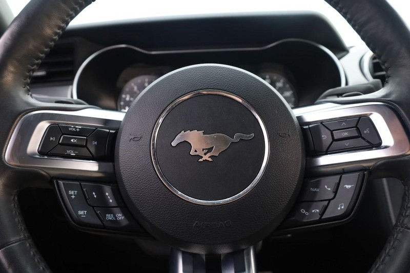 Ford Mustang Vehicle Full-screen Gallery Image 9