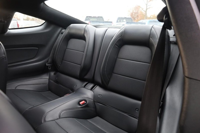 Ford Mustang Vehicle Full-screen Gallery Image 22