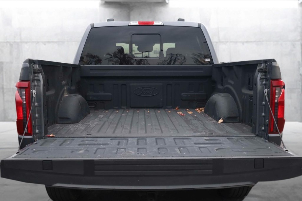 Ford F-150 Vehicle Full-screen Gallery Image 7