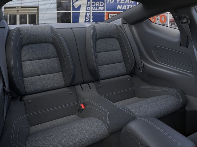 Ford Mustang Vehicle Image 11