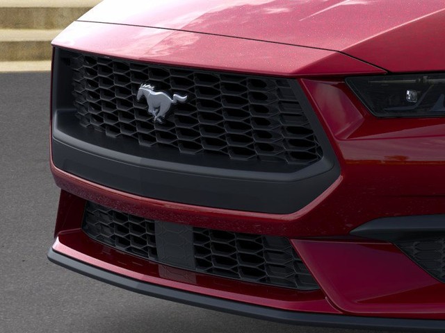 Ford Mustang Vehicle Image 17