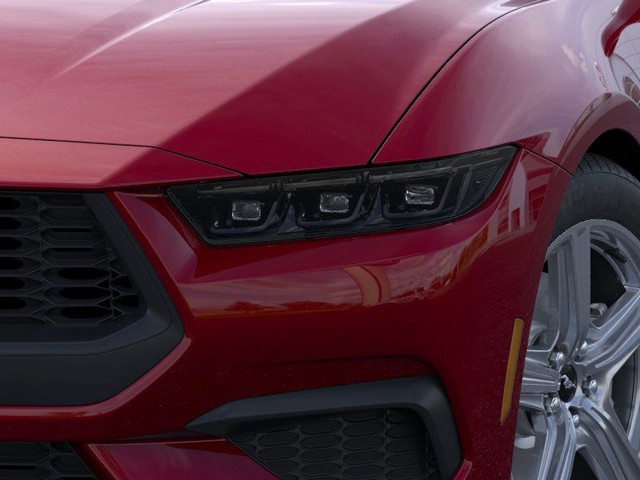 Ford Mustang Vehicle Image 18